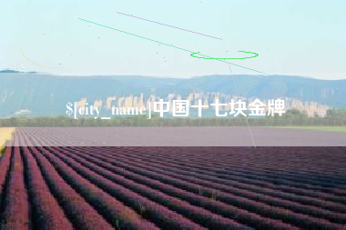 单县中国十七块金牌