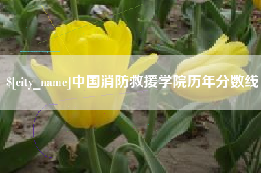 单县中国消防救援学院历年分数线