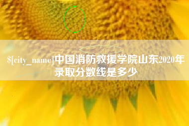 单县中国消防救援学院山东2020年录取分数线是多少