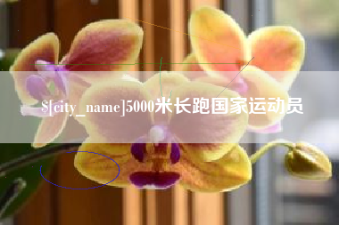单县5000米长跑国家运动员