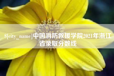 单县中国消防救援学院2021年浙江省录取分数线