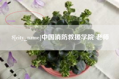 单县中国消防救援学院 老师