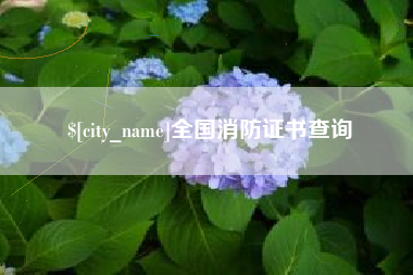 单县全国消防证书查询