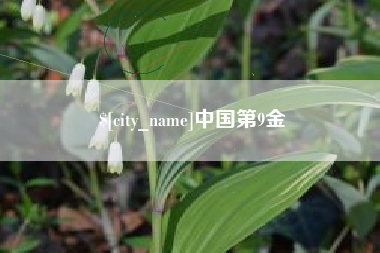 单县中国第9金