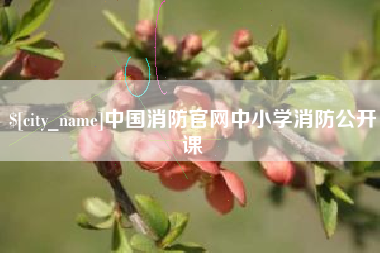 单县中国消防官网中小学消防公开课