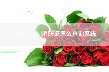 单县消防证怎么查询系统