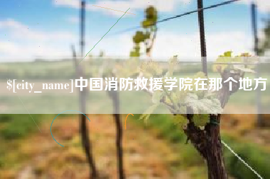 单县中国消防救援学院在那个地方