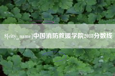 单县中国消防救援学院2018分数线