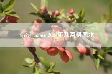 单县2021年九宫格风水