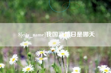 单县我国消防日是哪天