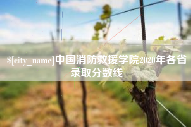 单县中国消防救援学院2020年各省录取分数线