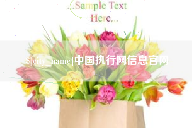单县中国执行网信息官网