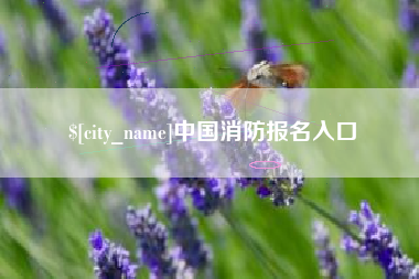 单县中国消防报名入口