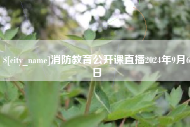 单县消防教育公开课直播2024年9月6日