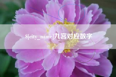 单县九宫对应数字