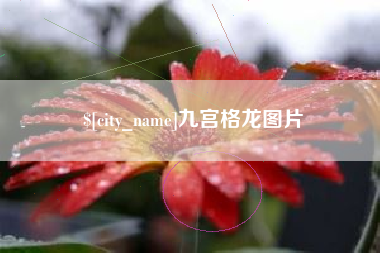 单县九宫格龙图片