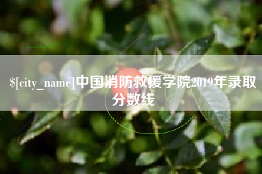 单县中国消防救援学院2019年录取分数线