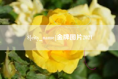 单县金牌图片2021