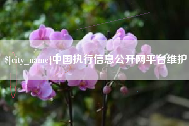 单县中国执行信息公开网平台维护