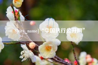 单县“中国执行公开网”