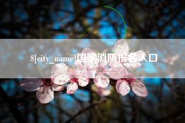 单县国家消防报名入口