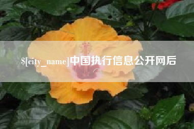 单县中国执行信息公开网后