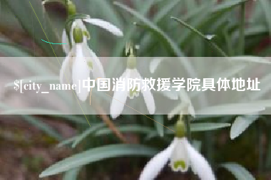 单县中国消防救援学院具体地址