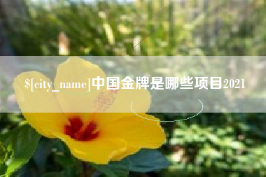 单县中国金牌是哪些项目2021