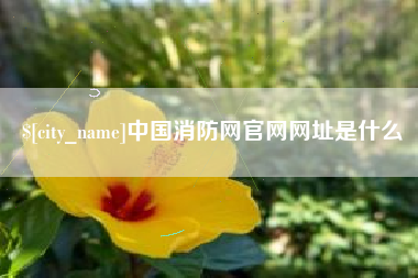 单县中国消防网官网网址是什么