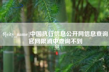单县中国执行信息公开网信息查询官网限消中查询不到