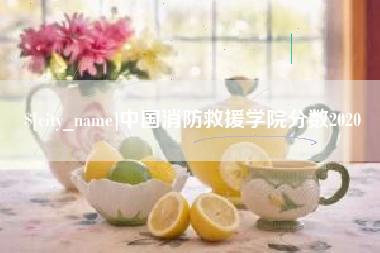 单县中国消防救援学院分数2020