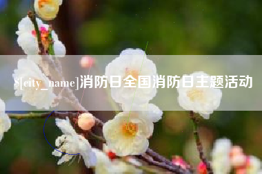 单县消防日全国消防日主题活动