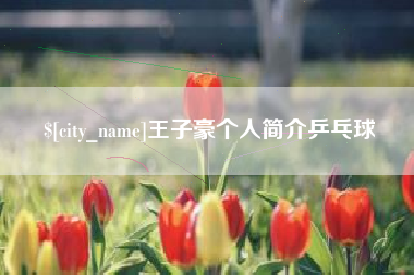 单县王子豪个人简介乒乓球