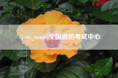 单县全国消防考试中心