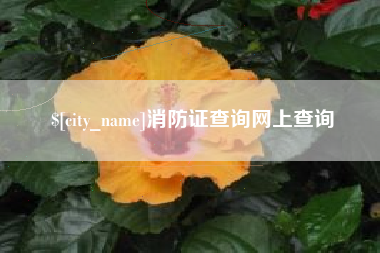 单县消防证查询网上查询