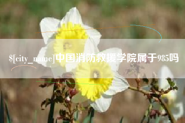 单县中国消防救援学院属于985吗