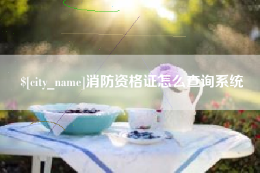 单县消防资格证怎么查询系统