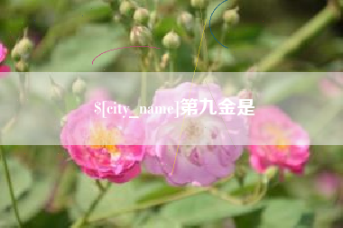 单县第九金是