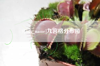 单县九宫格分布图