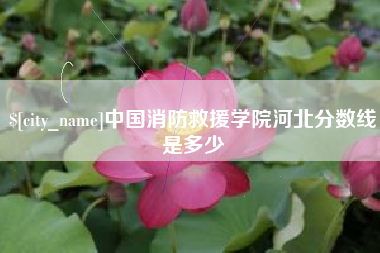 单县中国消防救援学院河北分数线是多少