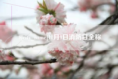 单县11月9日消防日全称