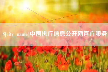 单县中国执行信息公开网官方服务