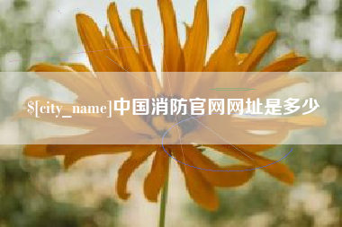 单县中国消防官网网址是多少