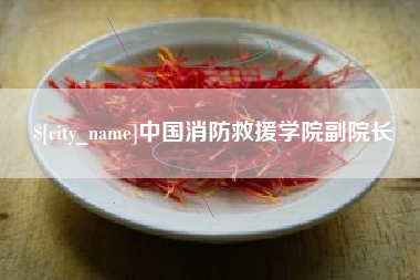 单县中国消防救援学院副院长