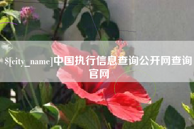 单县中国执行信息查询公开网查询官网