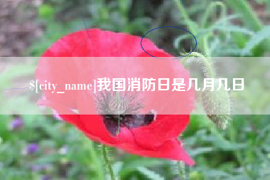 单县我国消防日是几月几日