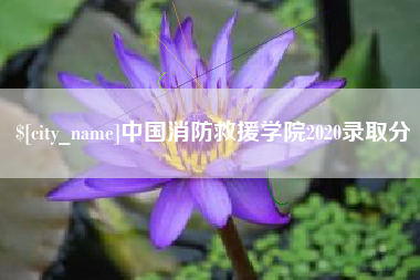 单县中国消防救援学院2020录取分
