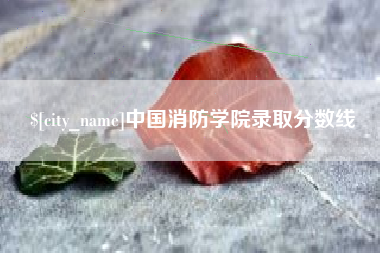 单县中国消防学院录取分数线