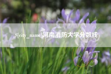 单县河南消防大学分数线