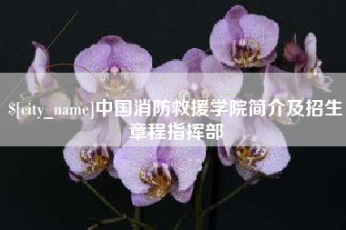 单县中国消防救援学院简介及招生章程指挥部